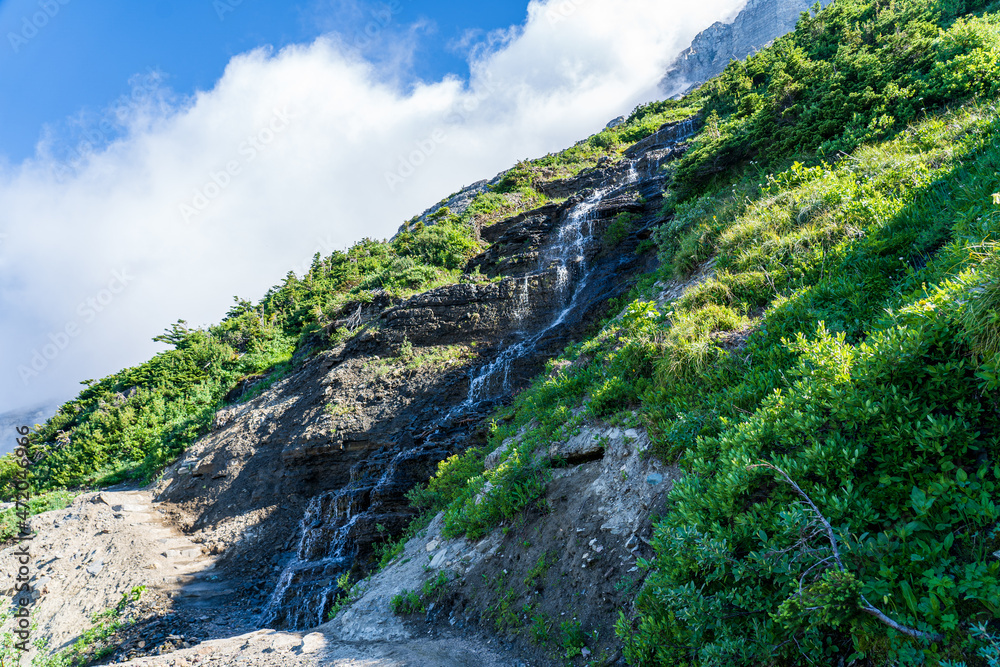 Waterfall crossing the hiking path on the Highline Trail in Glacier National Park on a sunny summer dya