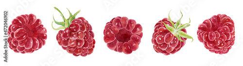 Set of watercolor raspberries isolated on white background. photo