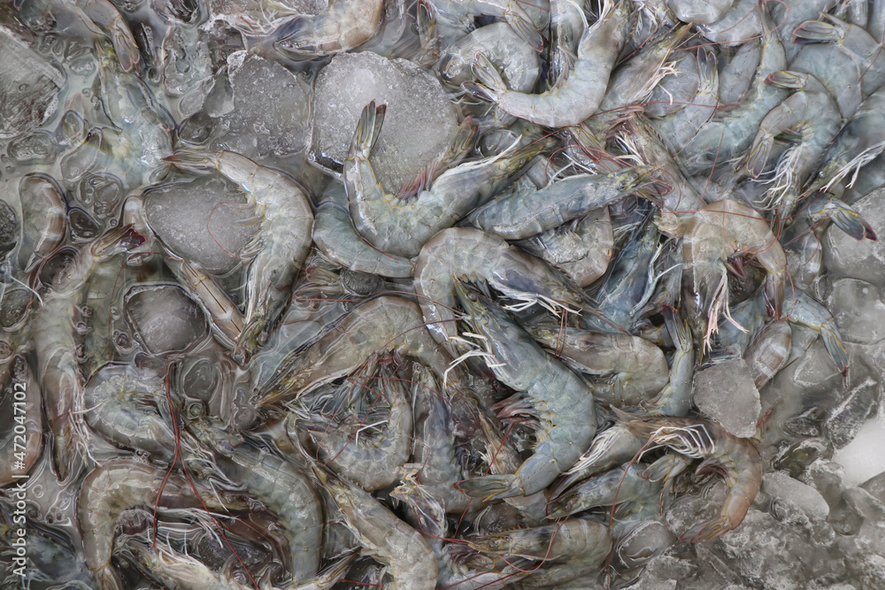 Close-up fresh white shrimp on ice for sell at maket, shrimp background. Close-up fresh white shrimp on ice for sell at maket, shrimp background.
