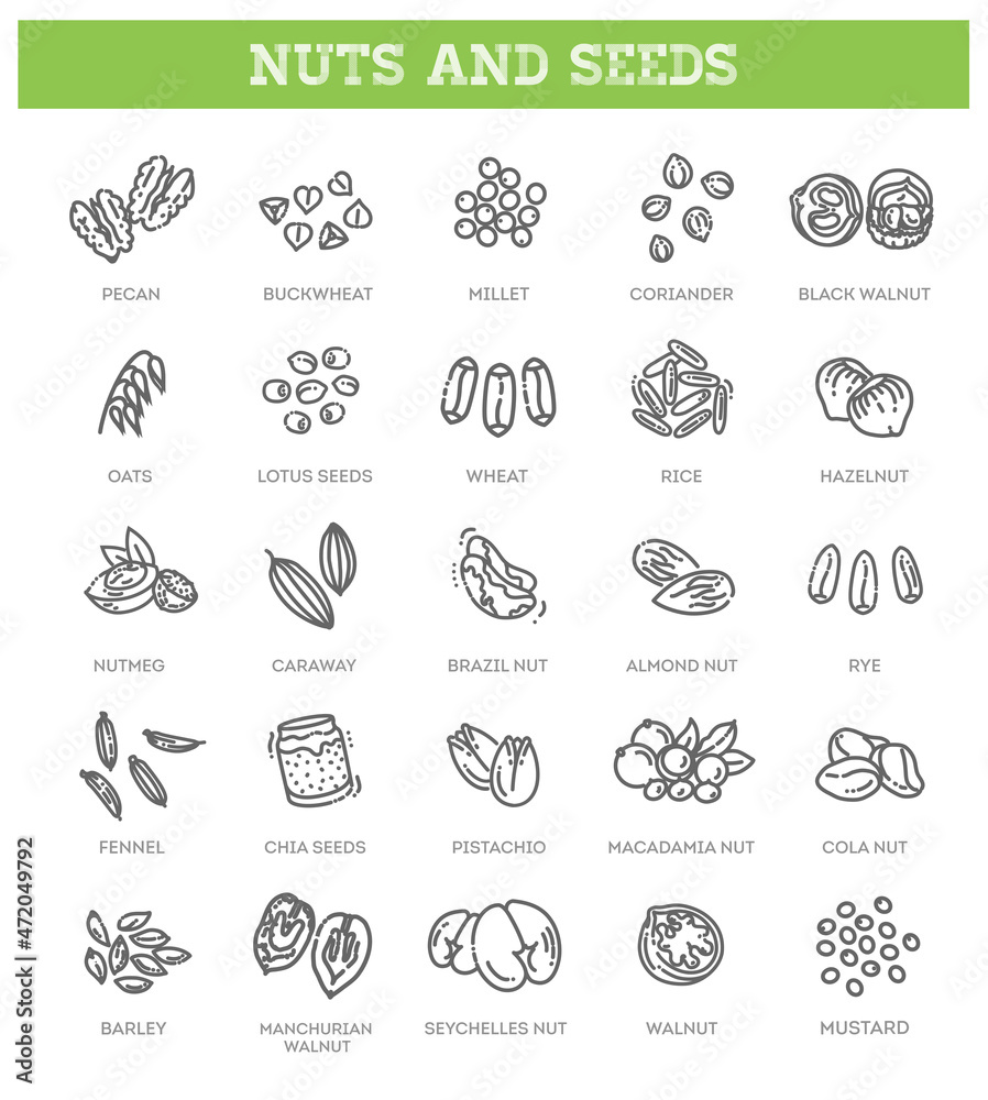 outline vector icons collection - nuts and seed outline vector icons collection - nuts and seed