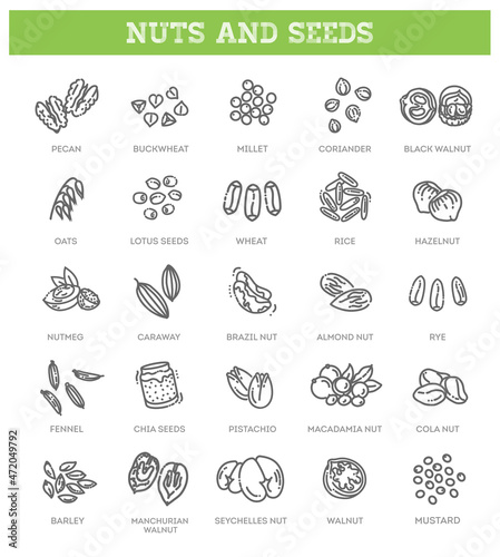 outline vector icons collection - nuts and seed