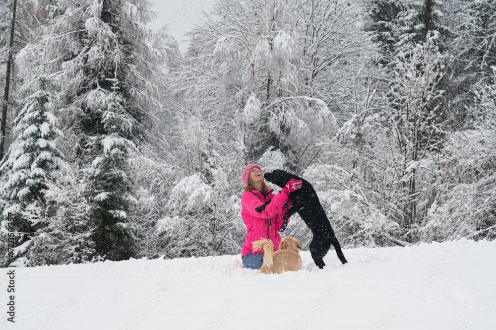 Woman playing with her dogs in the snow Woman playing with her dogs in the snow