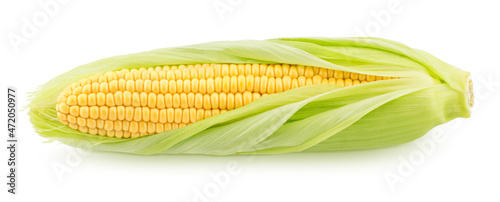 Fresh whole half peeled corn cob isolated on a white background.