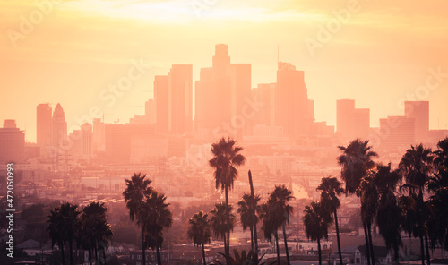 Los Angeles downtown with palm trees during sunset. Los Angeles, California, USA. photo