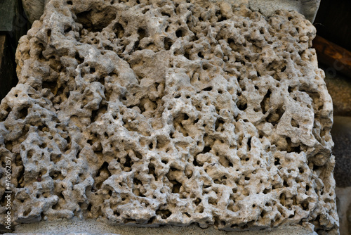 Texture of a stone from the sea of calcareous origin