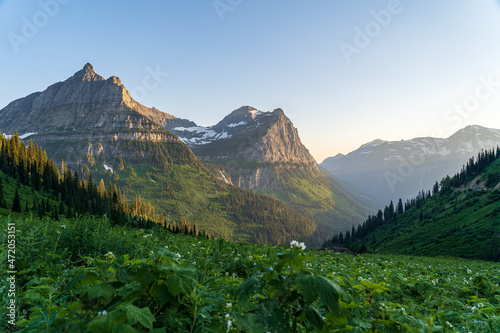 View of Mount Oberlin and Clements Mountain in Glacier National Park as viewed from hiking by Oberline Bend on the Going to the Sun Road on a sunny summer evening at sunset and golden hour photo