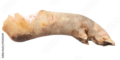 Pork leg isolated on white background.