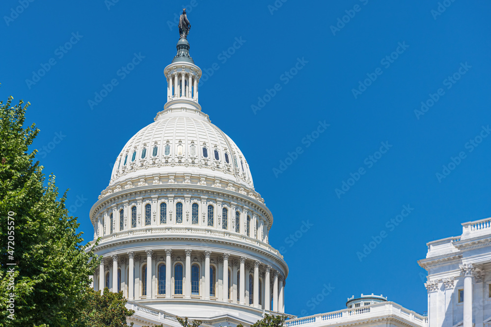 Fototapeta premium The capitol in Washington DC, USA