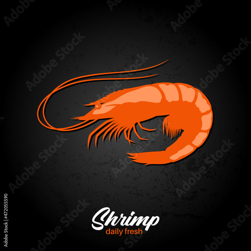 Vector shrimp or prawn flat style illustration. Seafood poster design template