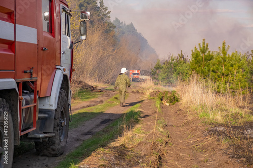 Fotografiet Firefighter and fire engine extinguishing forest fire