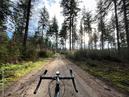 Cycling through the autumn forest at the Sallandse Heuvelrug