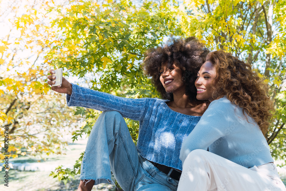 Naklejka premium Two female afro american friends smiling while taking selfie in the park. Afro black friends with curly hair and blue jumper smiling while taking selfie in the forest