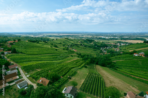 Vineyard Landscape form above vith clouds photo