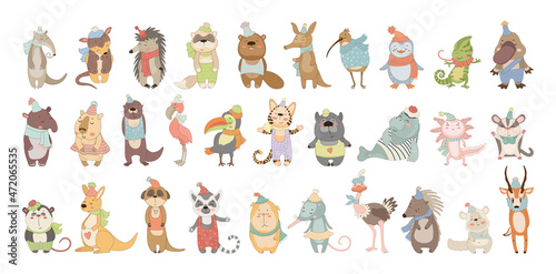 Fototapeta Naklejka Na Ścianę i Meble -  Collection of cute animals in cartoon style. Illustrations for children.