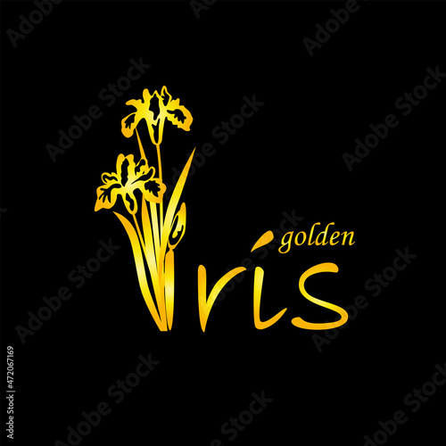 Golden iris flower logo