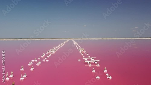 Flying over a pink salt lake. Salt production facilities saline evaporation pond fields in the salty lake. Dunaliella salina impart a red, pink water in mineral lake with dry cristallized salty coast photo