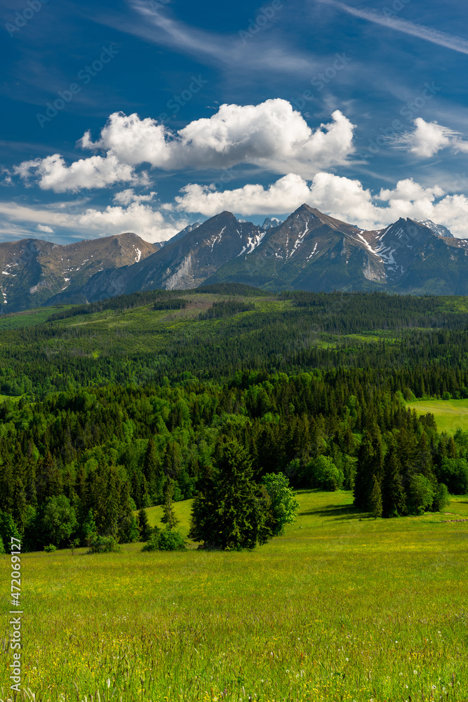 Fototapeta premium Scenic High Tatras Mountains and Green Pasture in Lapszanka Valley at Summer. Polish Podhale Landscape.