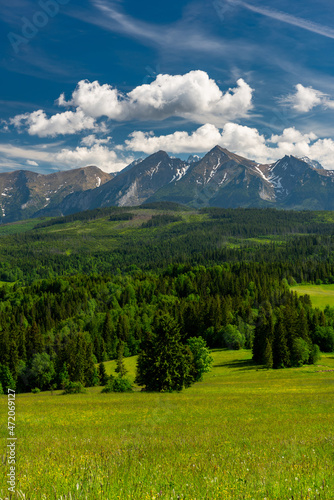 Scenic High Tatras Mountains and Green Pasture in Lapszanka Valley at Summer. Polish Podhale Landscape.