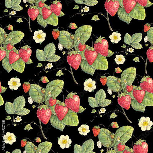 Strawberry berry seamless pattern. Hand drawn illustration. Design for vintage packaging. Color sketch. Colored pencil drawing.