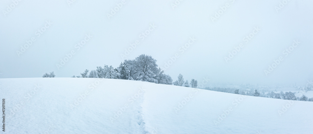 Naklejka premium Wunderschöne Winterliche Märchenlandschaft mit verschneitem Tannenwald
