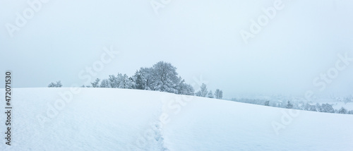 Wunderschöne Winterliche Märchenlandschaft mit verschneitem Tannenwald