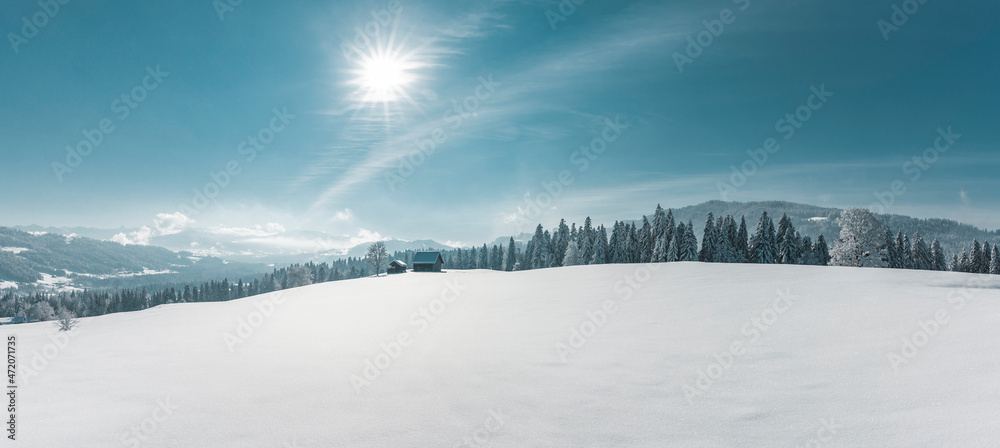 Wunderschöne Winterliche Märchenlandschaft mit verschneitem Tannenwald