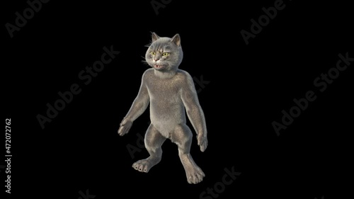 funny character toy cat is dancing , animation, Alpha channel