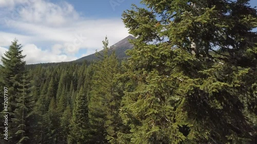 Rise out of forest to Mt. Theilsen  photo