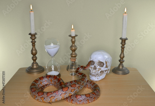 Paris,France, November 11th 2021. Freemasonic symbols Hourglass, snake and Skull, stands for human mortality, life and reflecting on death,concept. photo