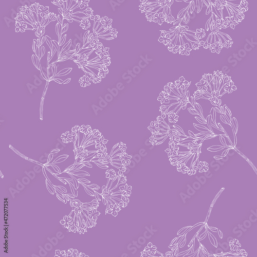 Seamless monochrome floral pattern with branches of plumbago capensis flowers.