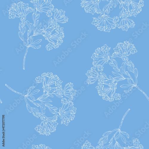 Seamless floral pattern with branches of plumbago capensis flowers. Linear white silhouettes on light blue background.