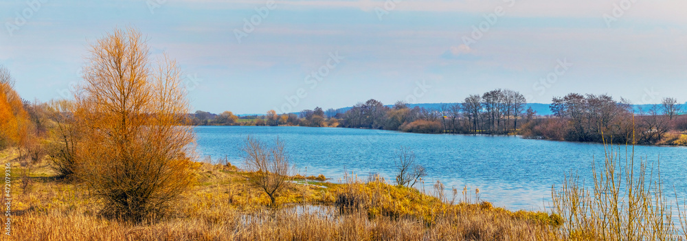 Spring landscape with bare trees by the river in sunny weather