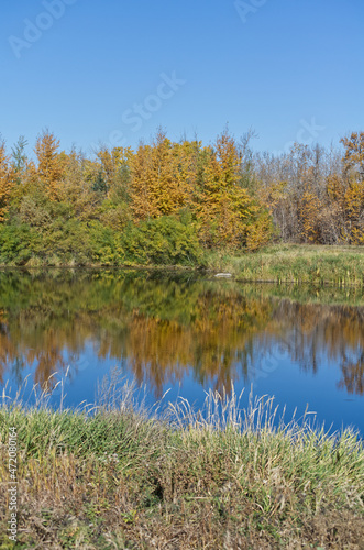 Autumn Scenery at Pylypow Wetlands