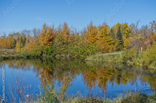 Autumn Scenery at Pylypow Wetlands © RiMa Photography