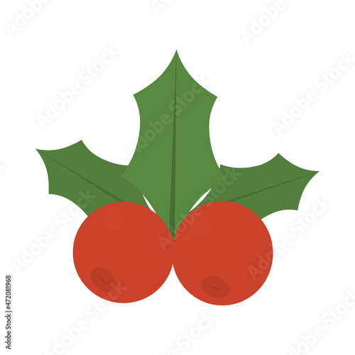 mistletoe icon image