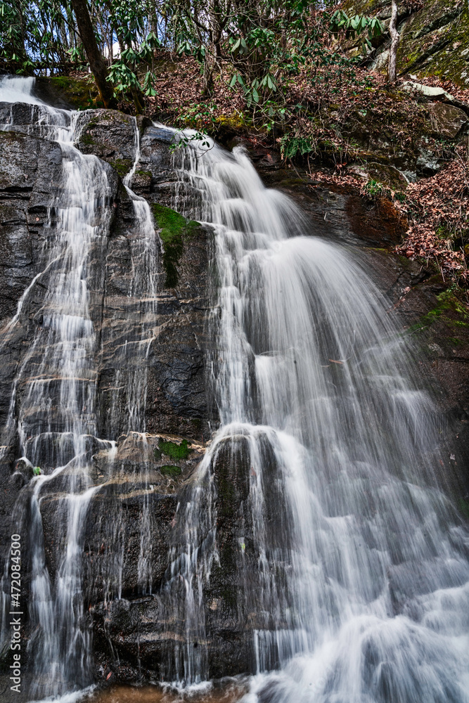 Obraz premium Falling for spring