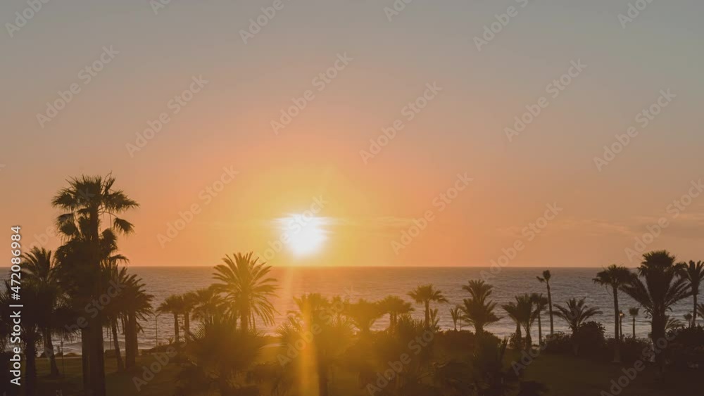Timelapse. Silhouette of palm trees of sea beach against the backdrop of a huge setting sun on cloudy sky. Top view