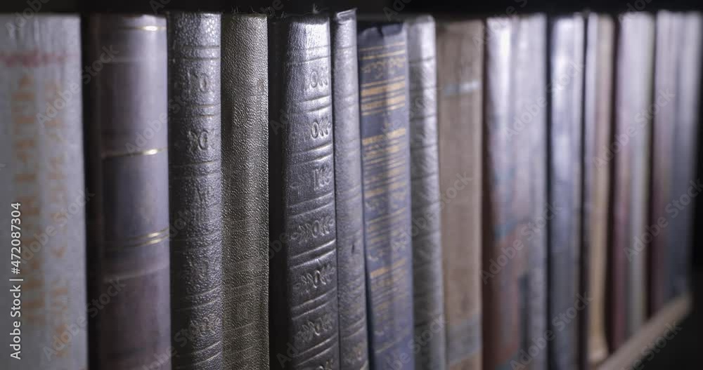 Many books organized in shelves in a big bookstore
