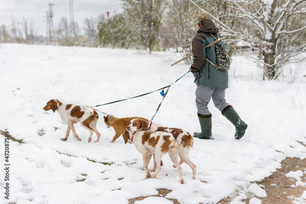 hunter walking his dogs in a snowy field on a winter's day in forest hunter walking his dogs in a snowy field on a winter's day in forest