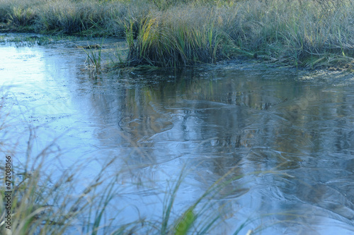 Nature between autumn and winter