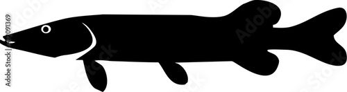 Pike fish silhouette vector illustration photo