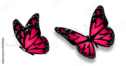 Wallpaper Mural Color love-butterflies with hearts in the wings, isolated on the white background Torontodigital.ca