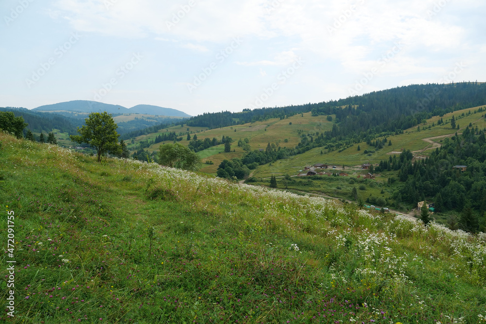 Fototapeta premium Beautiful nature in Carpathian Mountains, Ukraine
