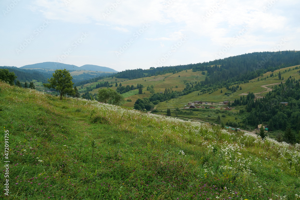 Beautiful nature in Carpathian Mountains, Ukraine