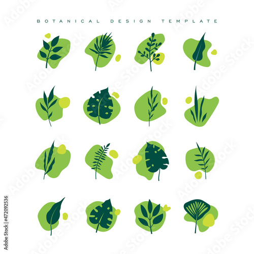 Abstract floral compositions. Boho story templates. Fluid organic shapes, green colors. Modern design. Vector leaves illustration. Botanical design template for logo, social media, posters