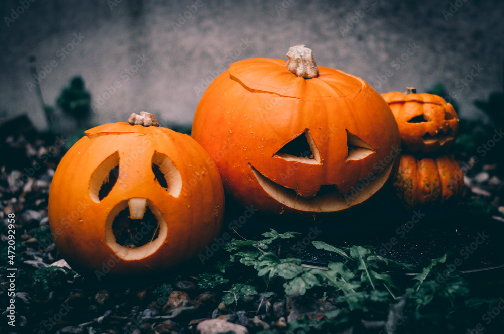 Halloween Orange and Spooky Pumpkin Halloween Orange and Spooky Pumpkin