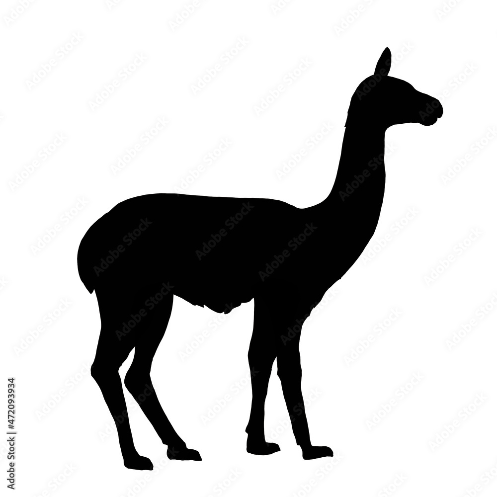 silhouette of guanaco in white silhouette of guanaco in white