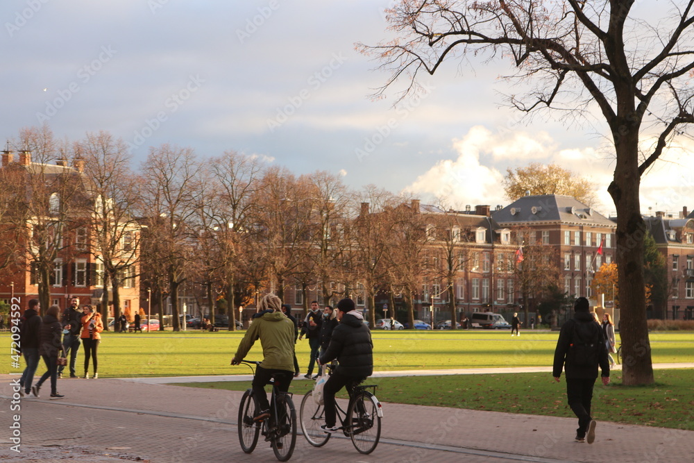 Fototapeta premium Atardeciendo en el parque