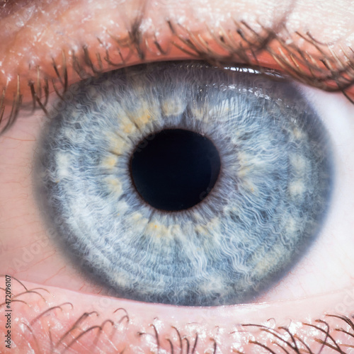 Human eye close up detail