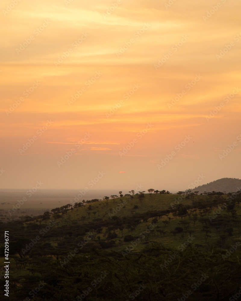 Obraz premium serengeti national park
